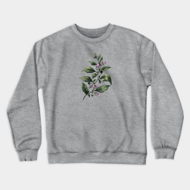 Belladonna. Witches herbs Crewneck Sweatshirt by Sitenkova